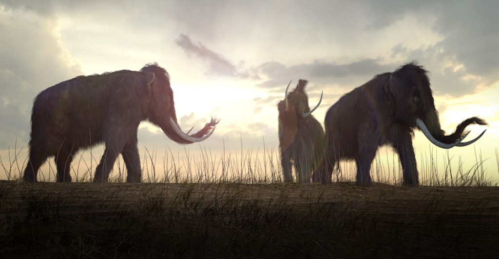 mamuts-dibujo-shutterstock-mamut
