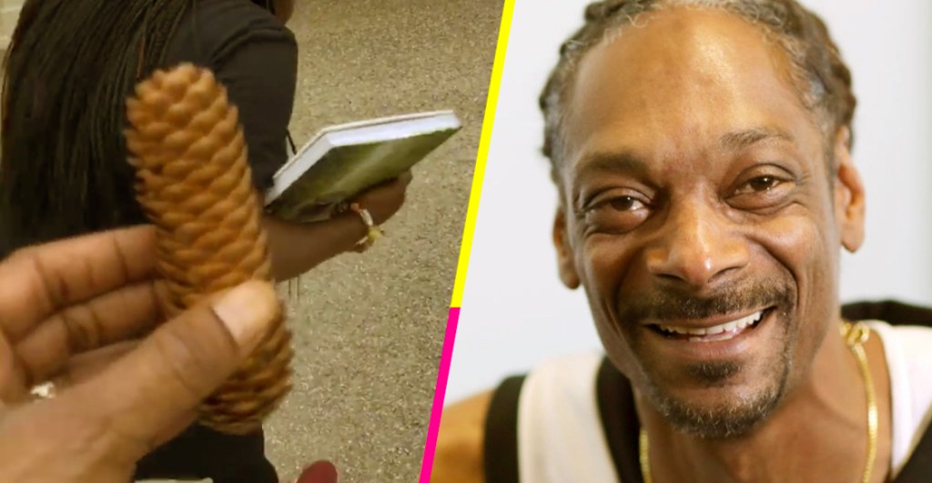 Snoop Dogg descubrió un cono de pino...