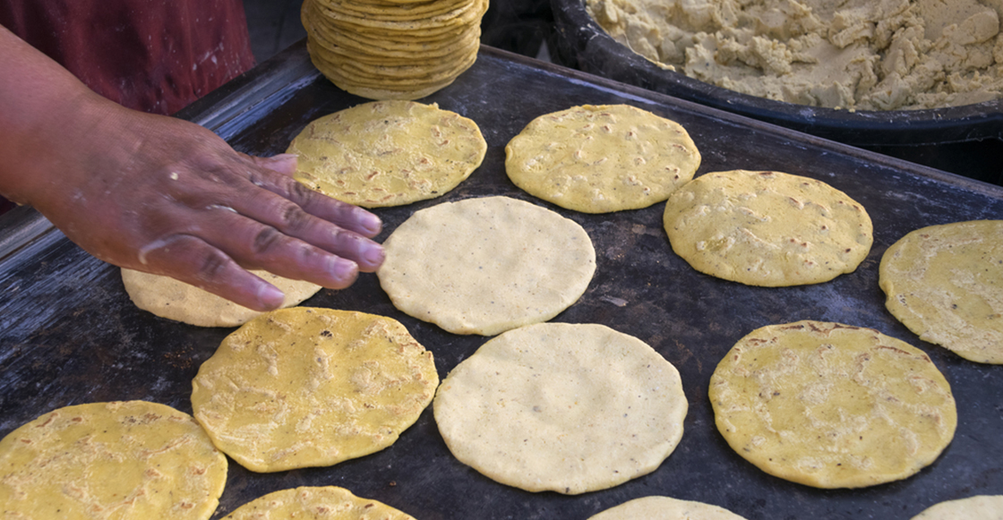 Crean tortillas light UNAM