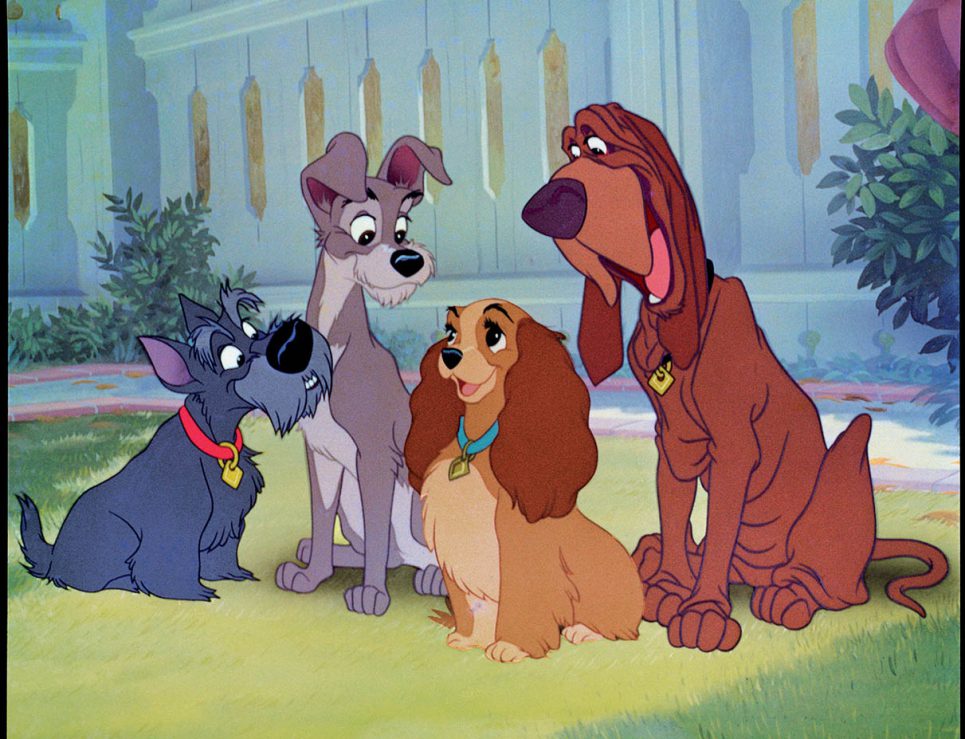 Le cambiarán el sexo a personaje de La Dama y el Vagabundo