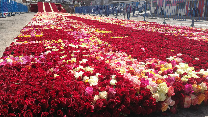 ¡Qué bonito! Ecuador rompió récord con una pirámide ancestral hecha de medio millón de rosas