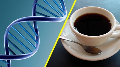 Beber café aumenta la esperanza de vida sin importar tu ADN