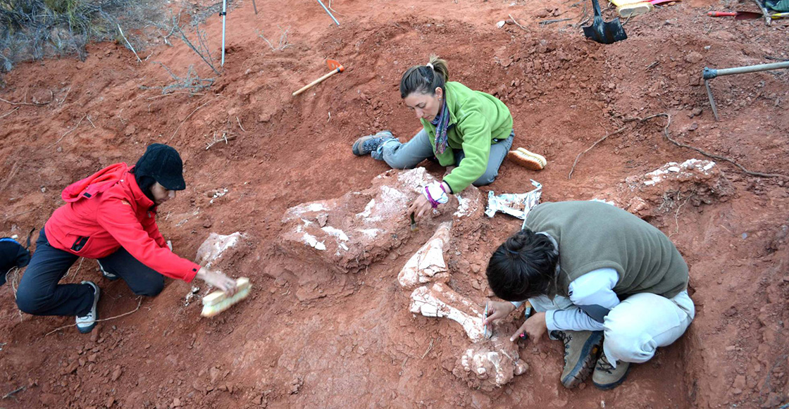 Descubrieron en Argentina un dinosaurio GIGANTE con más de 200 millones de años