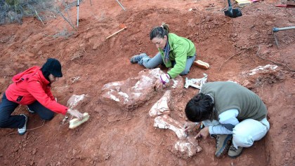 Descubrieron en Argentina un dinosaurio GIGANTE con más de 200 millones de años