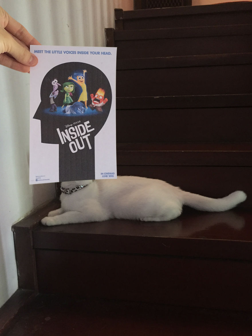 Un fotógrafo recreó algunos pósters de películas usando gatitos... o algo así