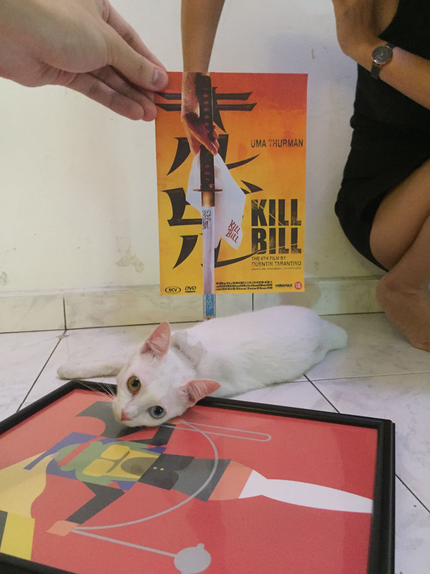 Un fotógrafo recreó algunos pósters de películas usando gatitos... o algo así