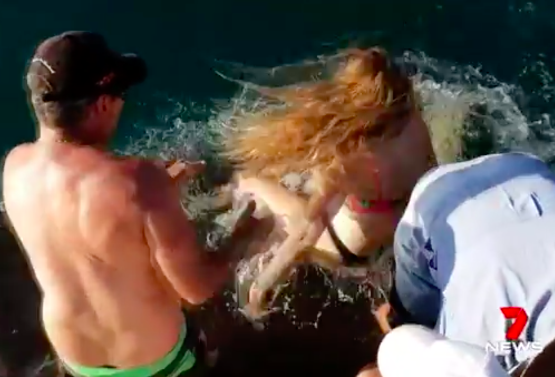WTF?! Un tiburón se llevó a una mujer que trató de alimentarlo
