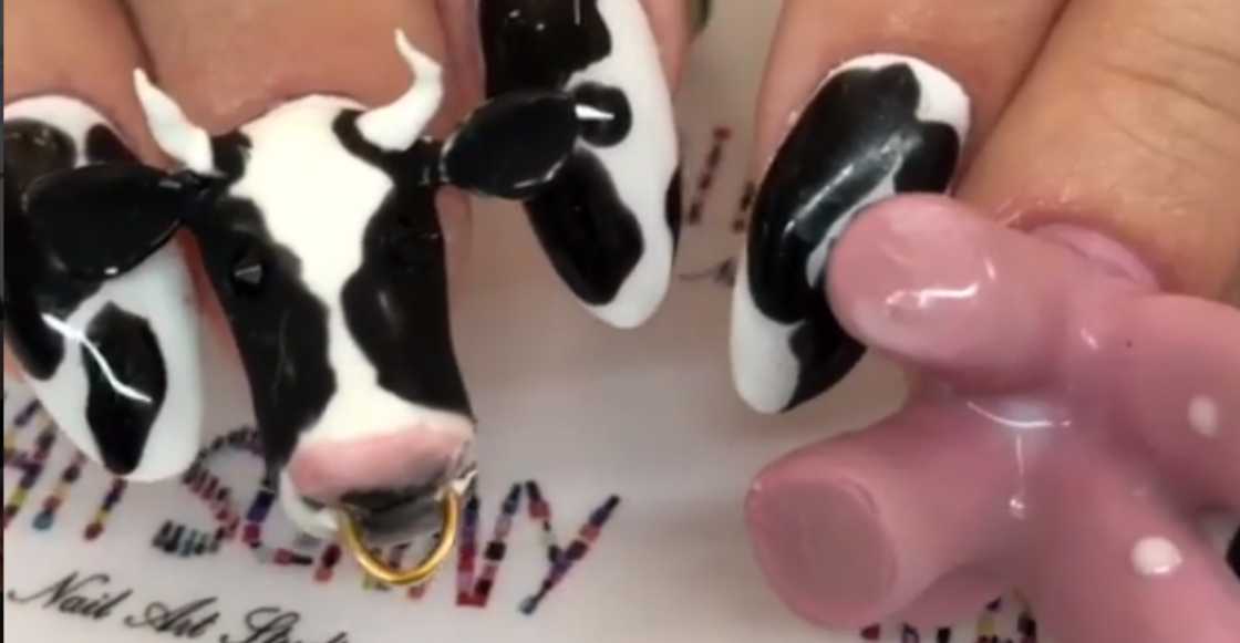 Ya llevanos, diosito: Estas son las uñas en forma de ubre y hasta sacan leche