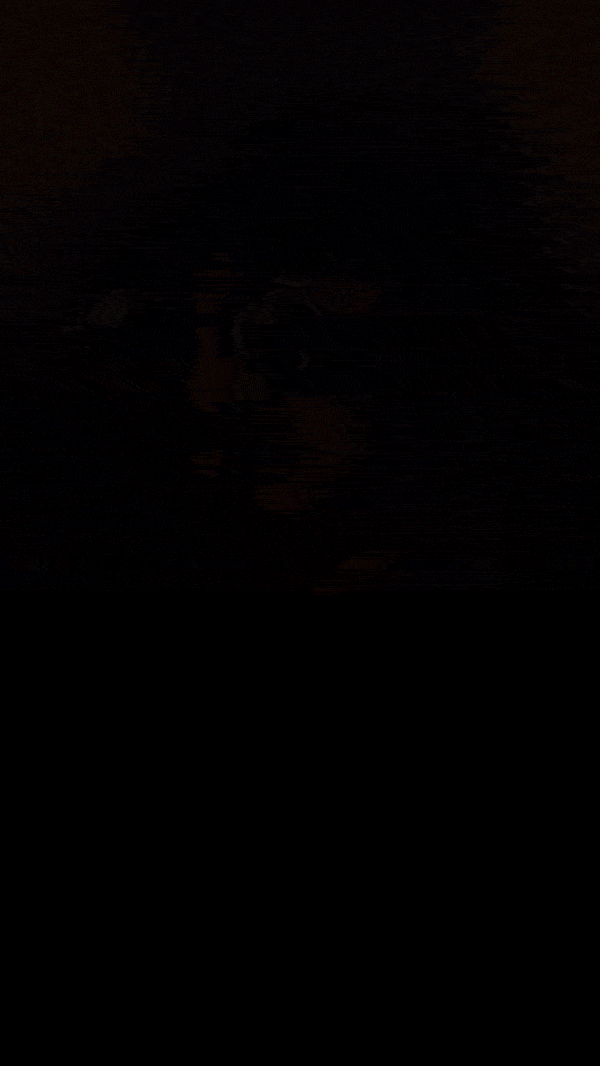 La Mala Rodríguez regresa a la Ciudad de México