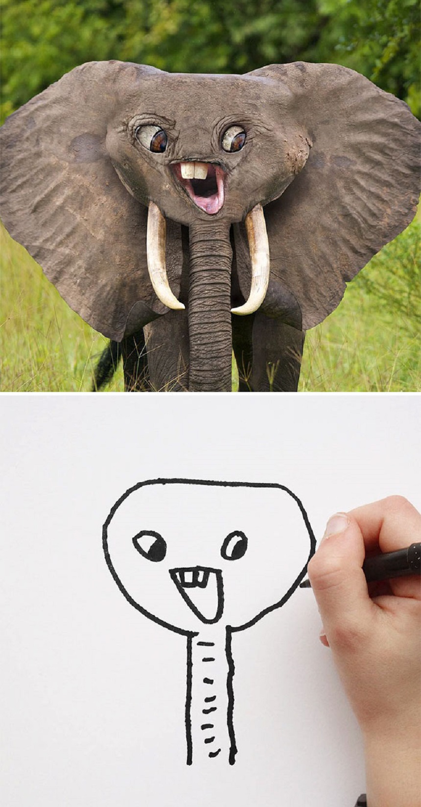 Dibujo de un elefante