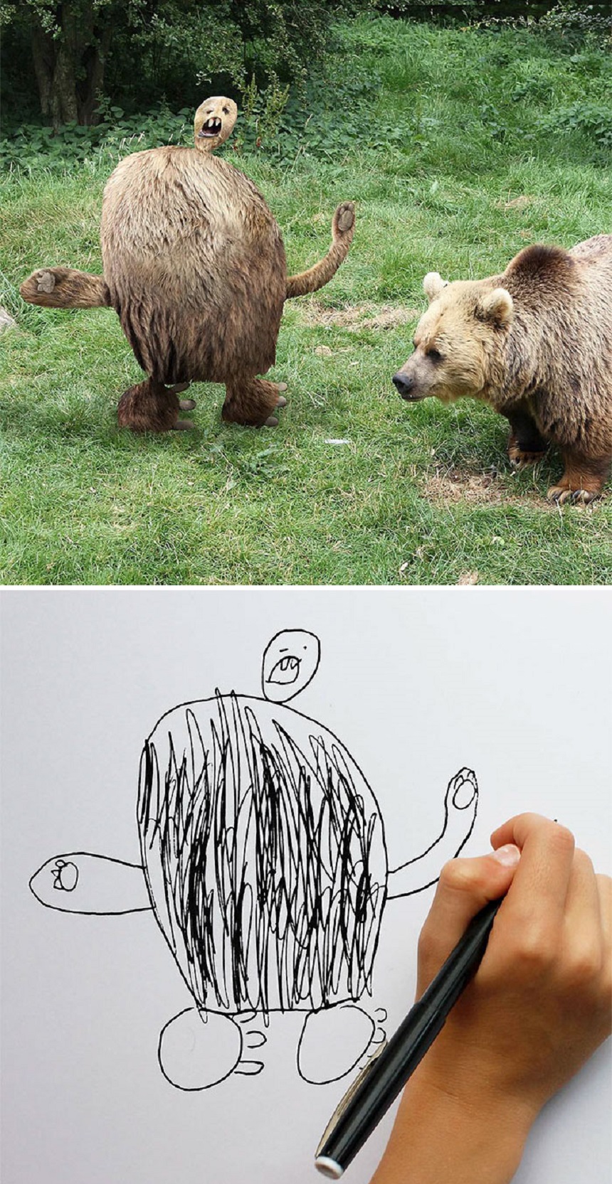 Dibujo de un oso