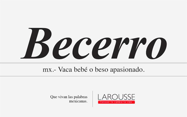 ¡Matanga! Larousse y su campaña de ‘palabras que sólo un mexicano entiende’