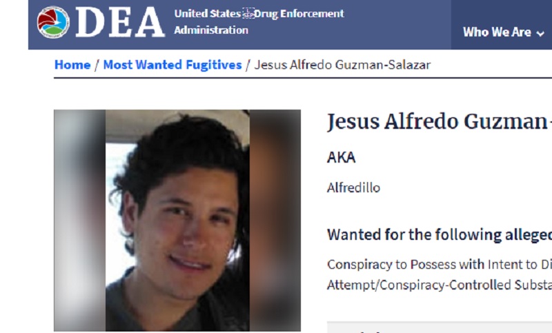 ALfredo Guzmán, entre los más buscados por la DEA