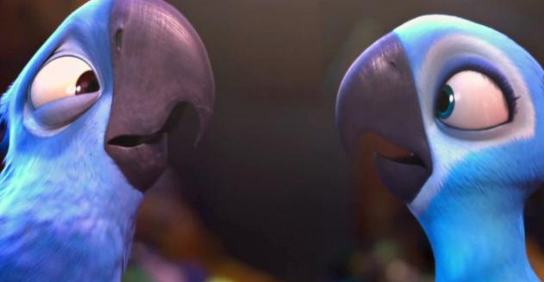 El ave azul que inspiró la película 'Río' se ha extinguido