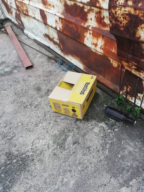 Abandonan a recién nacido en una caja de cartón en la Miguel Hidalgo