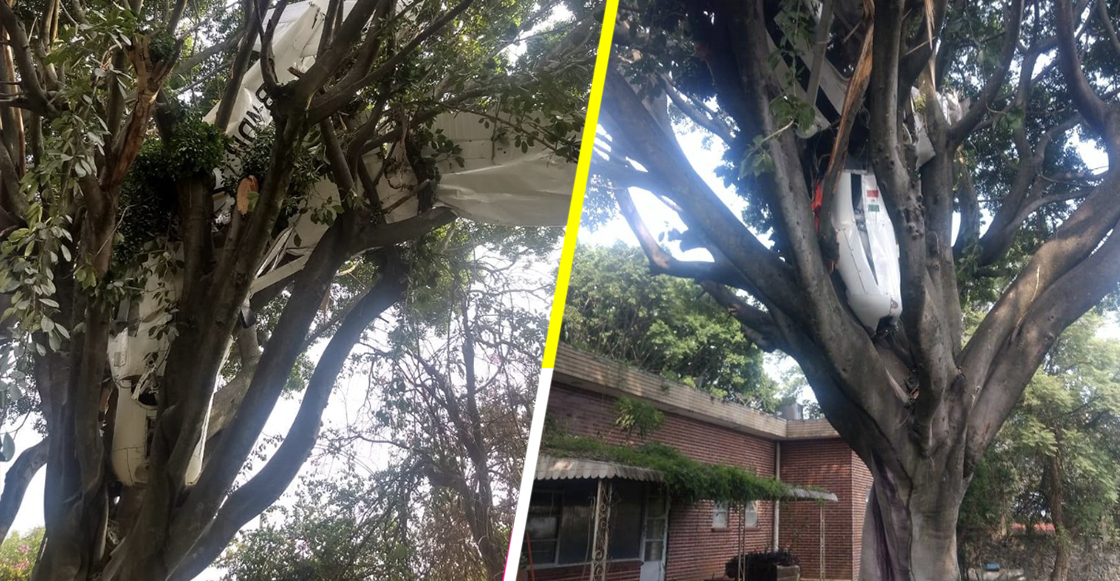 Cayó una avioneta sobre un árbol en Rancho Tetela, Cuernavaca