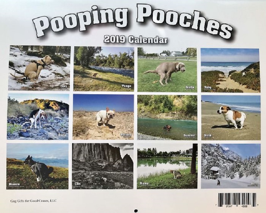 Calendario con perritos haciendo popó