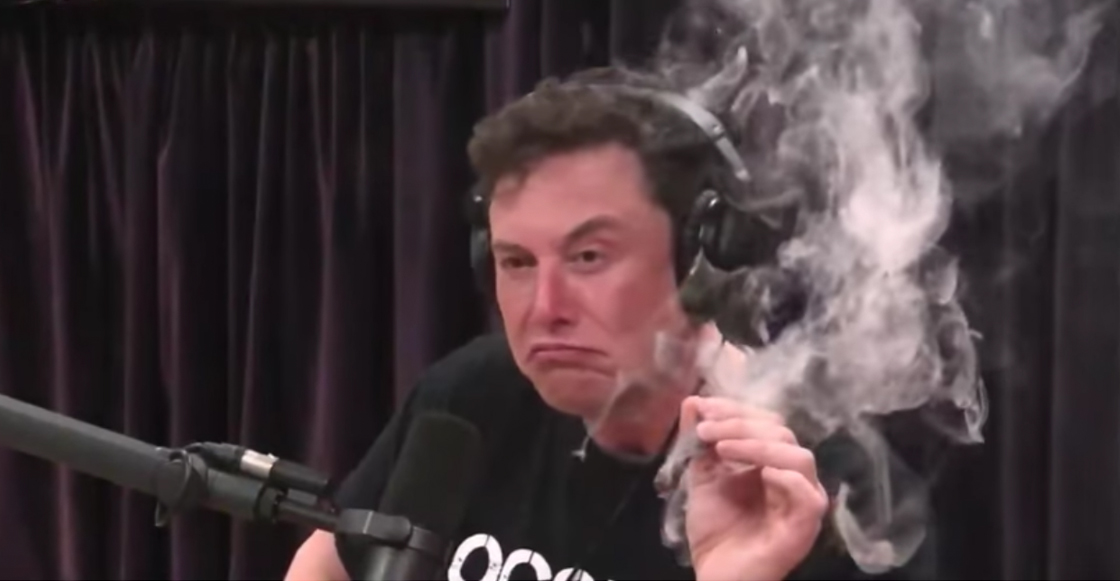 Elon Musk con Joe Regan