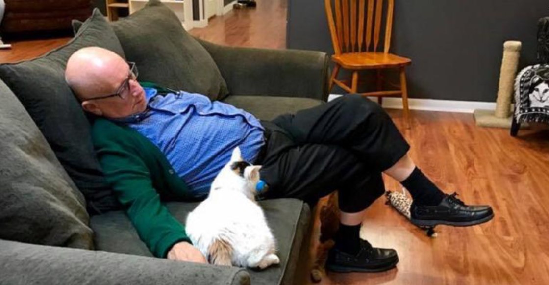¡Este hombre ha recaudado 30 mil dólares sólo por dormir con gatitos!