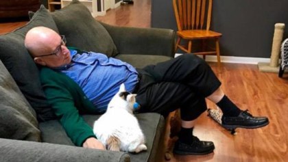 ¡Este hombre ha recaudado 30 mil dólares sólo por dormir con gatitos!