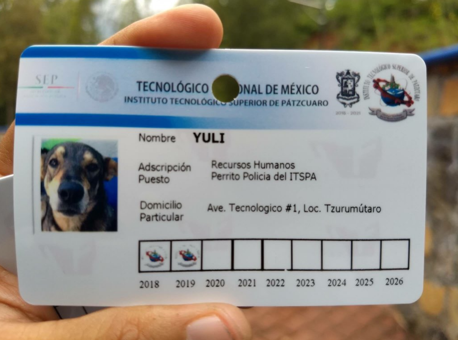 Instituto Tecnológico Superior de Pátzcuaro