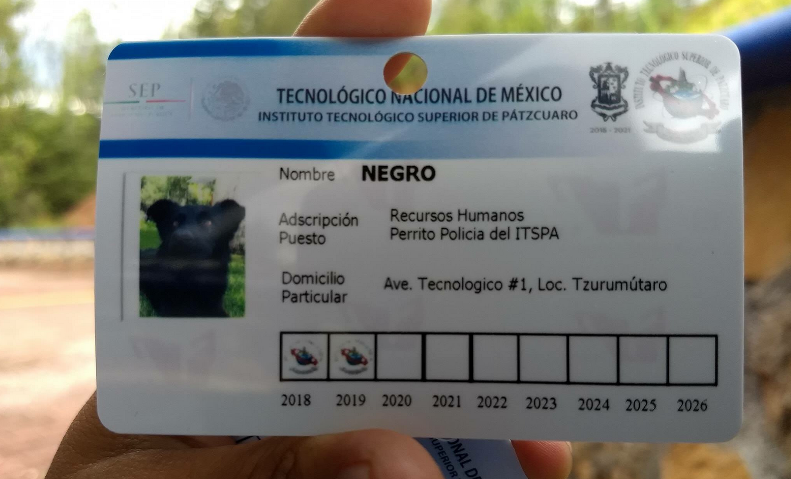 Instituto Tecnológico Superior de Pátzcuaro