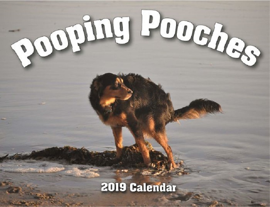 Calendario con perritos haciendo popó