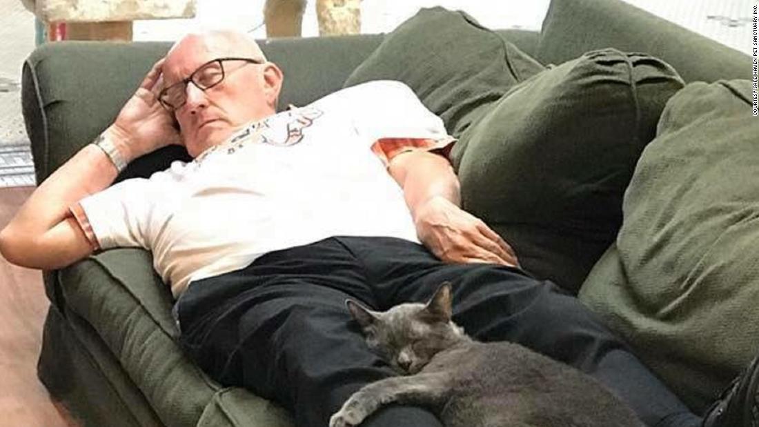 ¡Este hombre ha recaudado 30 mil dólares sólo por dormir con gatitos! 