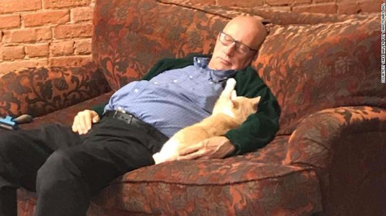 ¡Este hombre ha recaudado 30 mil dólares sólo por dormir con gatitos! 🙀
