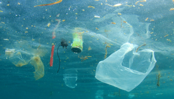 Y el Europarlamento aprueba prohibición de plásticos de un solo uso para 2021