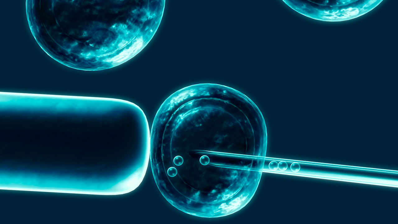 Milagros inesperados: Las células madre podrían curar el VIH
