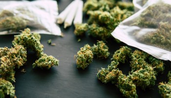 La marihuana recreativa cada vez más cerca: SCJN sienta las bases para la legalización