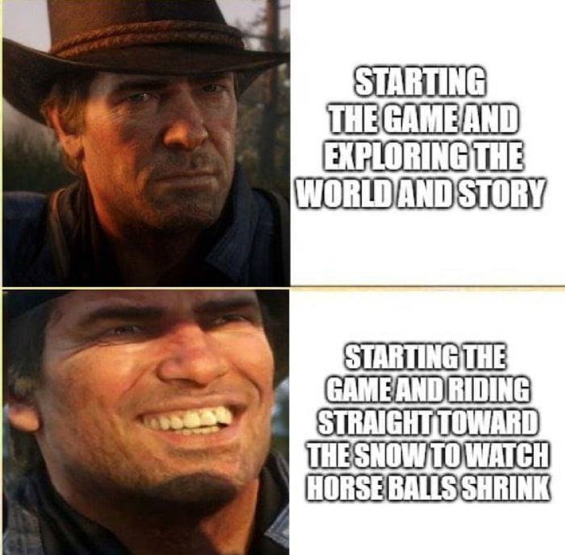 Red Dead Redemtion 2 – Memes