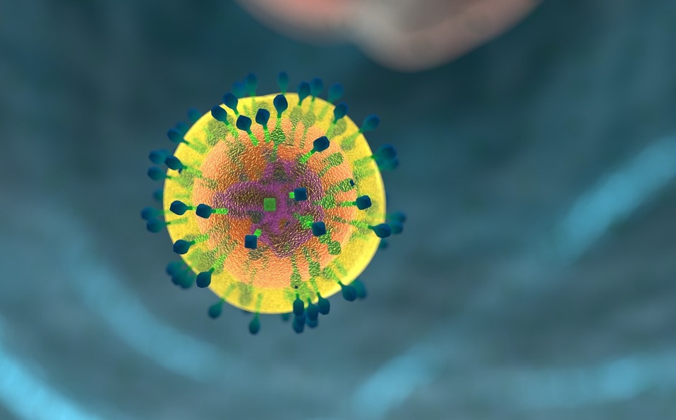 Milagros inesperados: Las células madre podrían curar el VIH