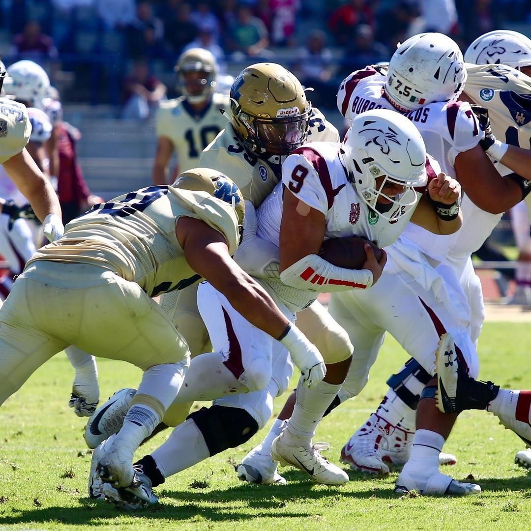 Burros Blancos le ganó a Pumas CU en semifinales de la ONEFA