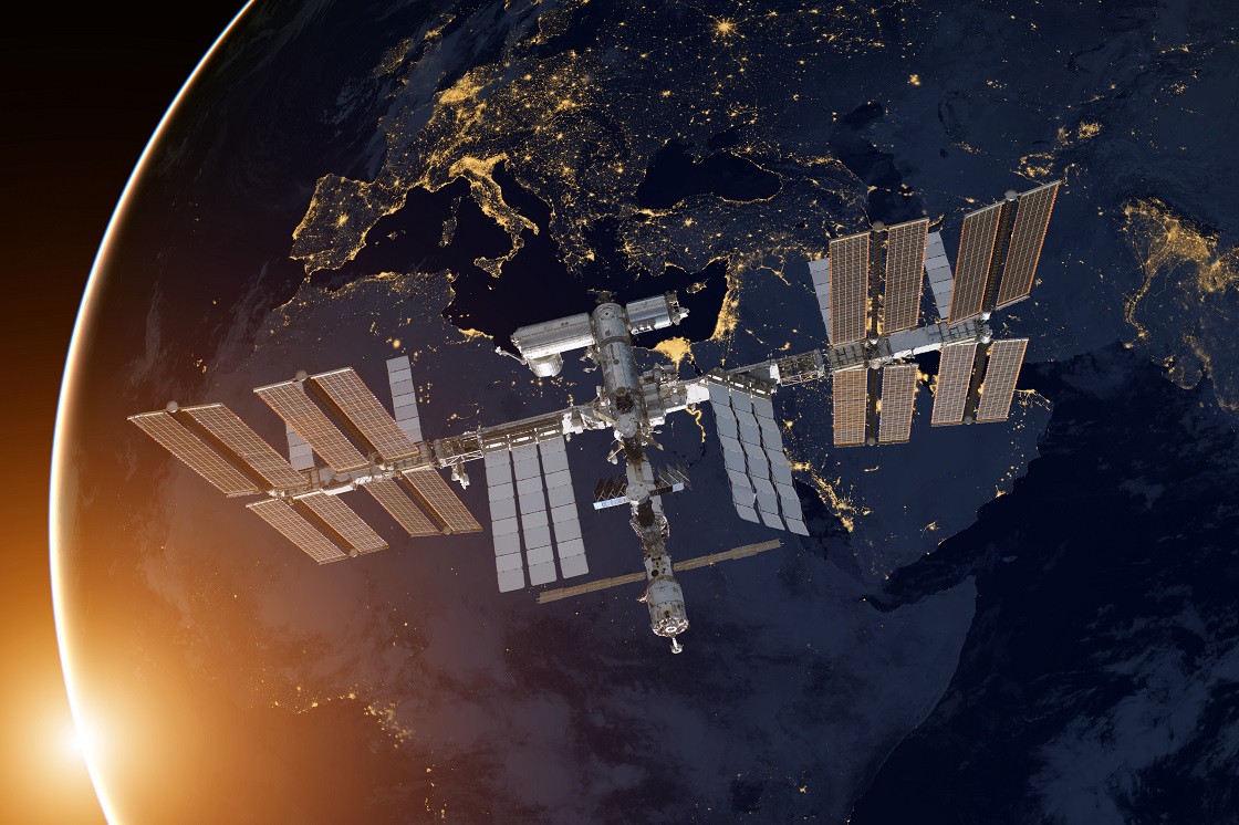 Estación Espacial Internacional - Bichos espaciales