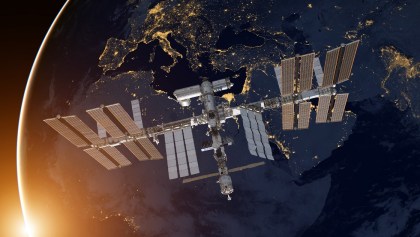 Estación Espacial Internacional - Bichos espaciales