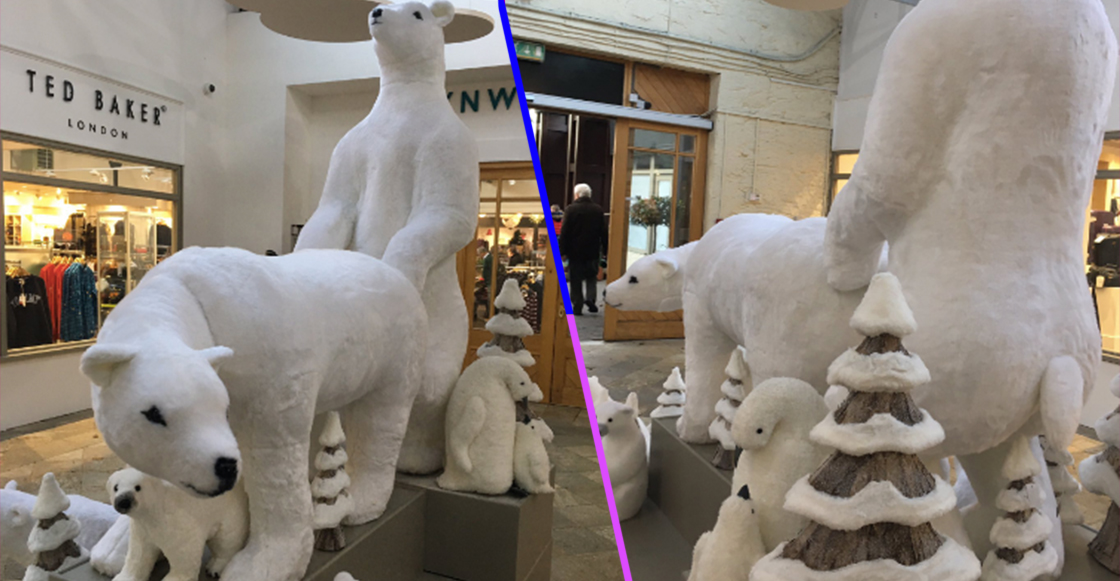 osos-polares-navidenos-sexuales-centro-comercial