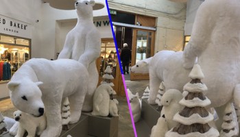 osos-polares-navidenos-sexuales-centro-comercial