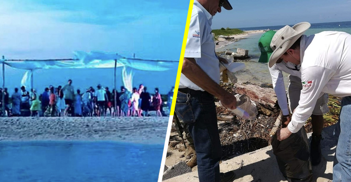PROFEPA multa con más de 4 millones a organizadores de una fiesta en Isla Salmedina