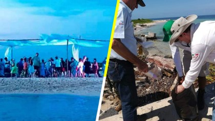 PROFEPA multa con más de 4 millones a organizadores de una fiesta en Isla Salmedina