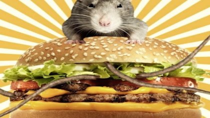¿Hamburguesa de rata? Teddy's Bigger Burgers cerró por una broma de sus empleados