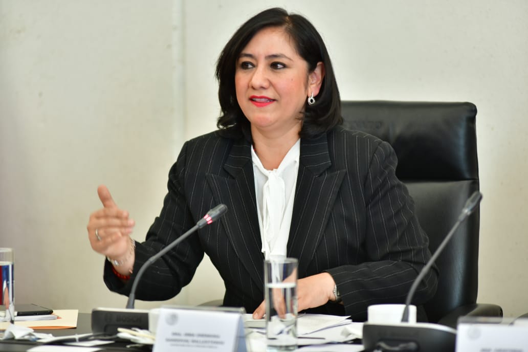 Irma Sandoval, titular de la SFP