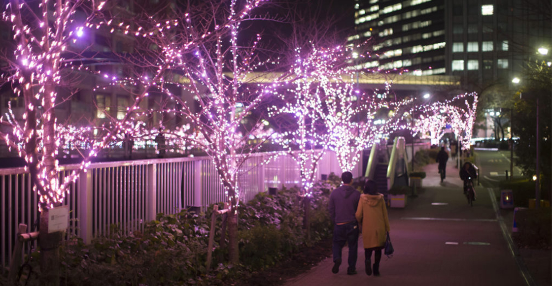¡Wow! Mira cómo un barrio de Tokio adornó sus calles con luces LED ecológicas