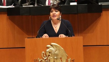 Nestora Salgado presentará 176 expedientes de "presos políticos" para amnistía