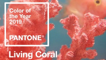 La razón por la que Pantone eligió 'Living Coral' como Color del 2019