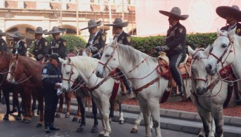 A combatir el crimen en cuatro patas: Regresa la Policía Charra a CDMX