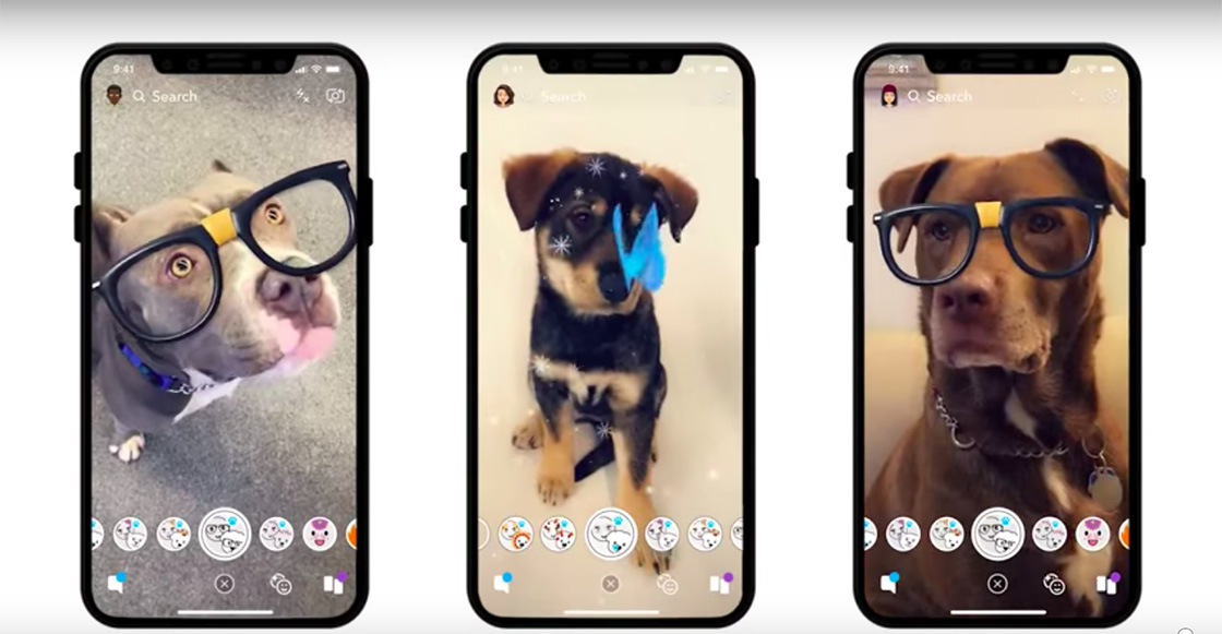 Tu perro con más seguidores: Snapchat lanza filtros especiales para ellos