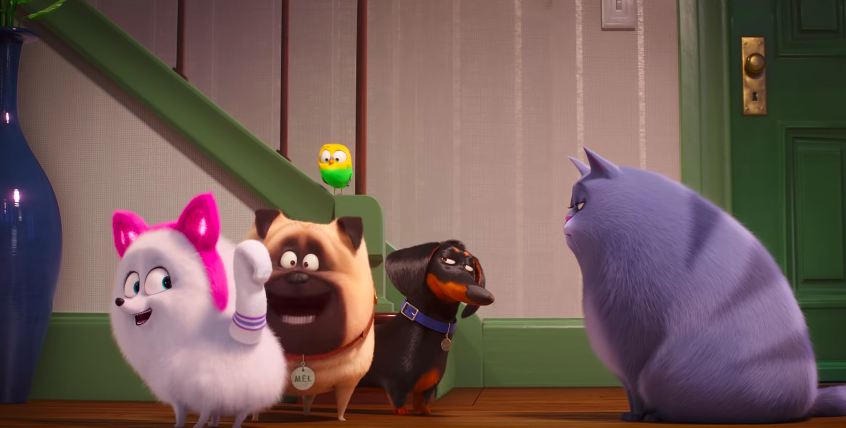 ¿Cómo ser un gato? El nuevo tráiler de La Vida Secreta de tus Mascotas 2 te lo dice