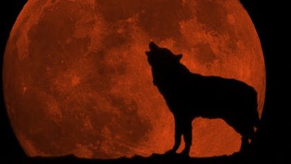 Dónde, cuándo y cómo ver la Superluna de Sangre de Lobo